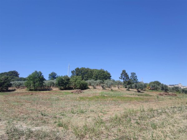 terreno agricolo in vendita a Montefiascone in zona Le Poggere