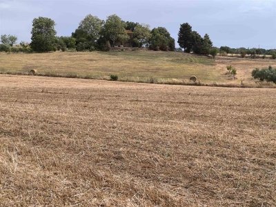 terreno agricolo in vendita a Montefiascone in zona Cipollone