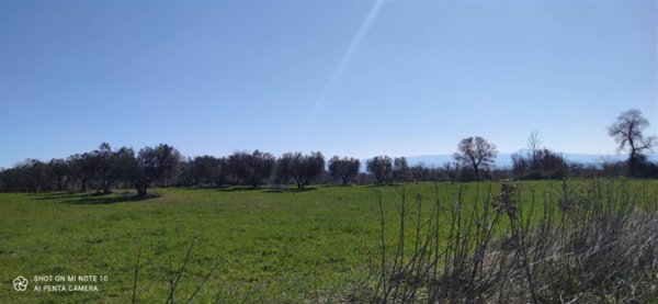 casa indipendente in vendita a Montefiascone