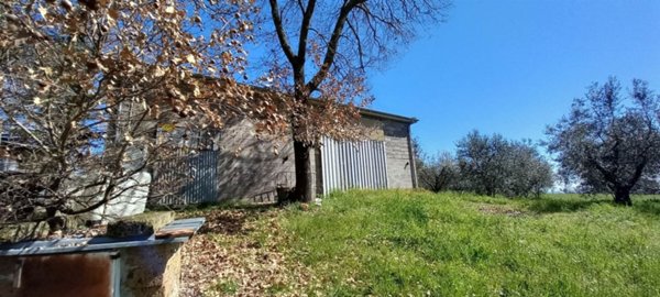 negozio in vendita a Montefiascone in zona Cipollone