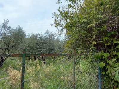 casa indipendente in vendita a Montefiascone