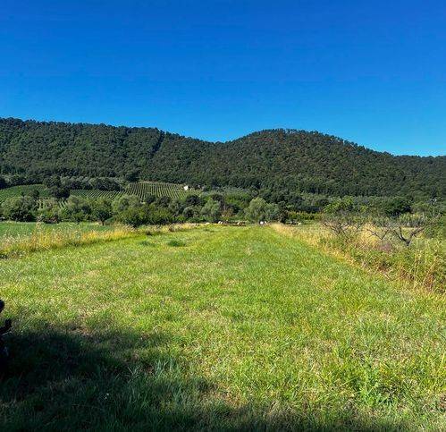 terreno agricolo in vendita a Montefiascone