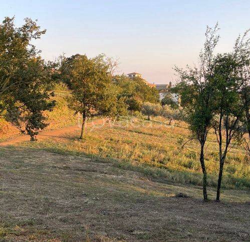 casa indipendente in vendita a Montefiascone in zona Zepponami