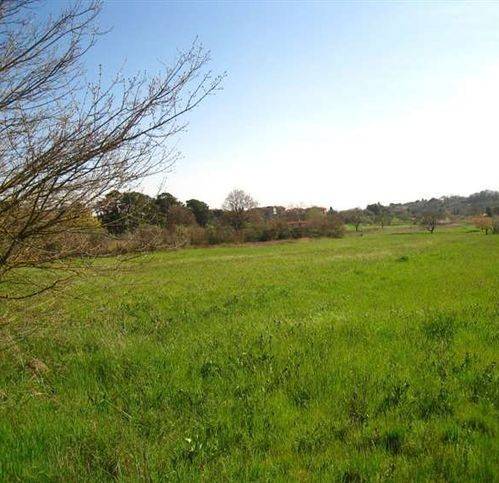 terreno agricolo in vendita a Montefiascone in zona Zepponami