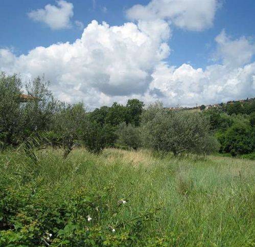 terreno agricolo in vendita a Montefiascone