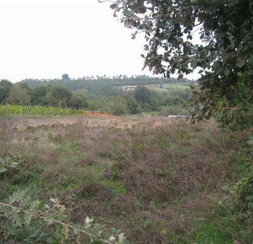 terreno agricolo in vendita a Montefiascone