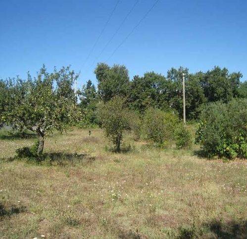 terreno agricolo in vendita a Montefiascone