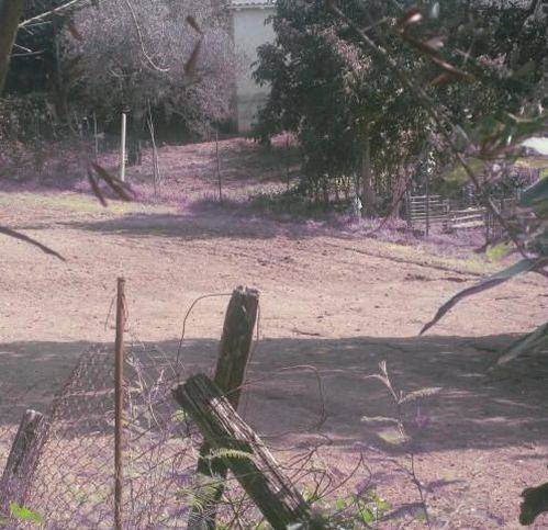 terreno agricolo in vendita a Montefiascone in zona Zepponami