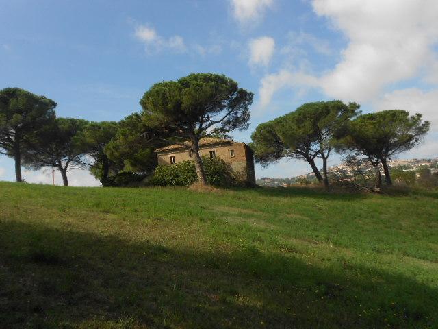 casa indipendente in vendita a Montefiascone