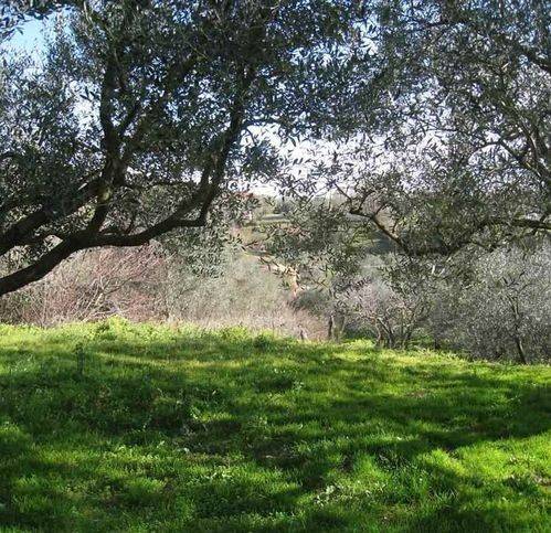 casa indipendente in vendita a Montefiascone