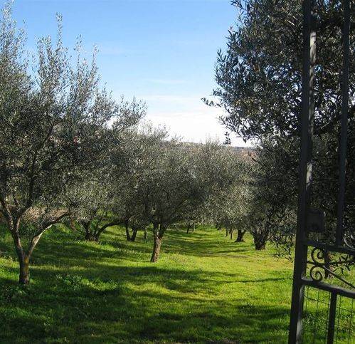 casa indipendente in vendita a Montefiascone
