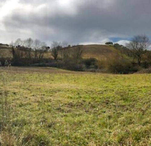 terreno agricolo in vendita a Montefiascone