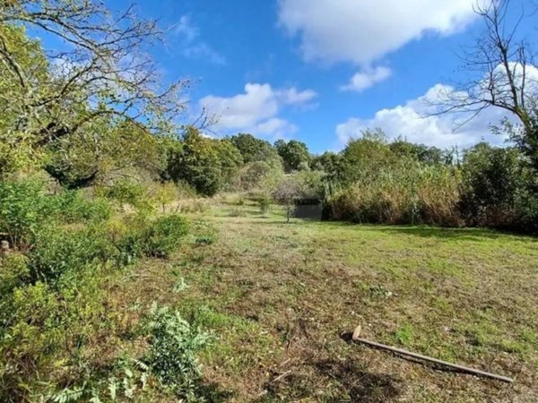 terreno agricolo in vendita a Montefiascone