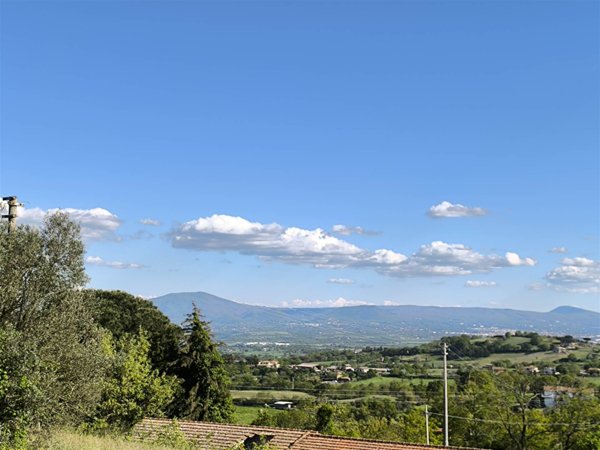 casa indipendente in vendita a Montefiascone in zona Cipollone