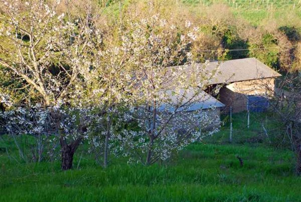 locale di sgombero in vendita a Montefiascone