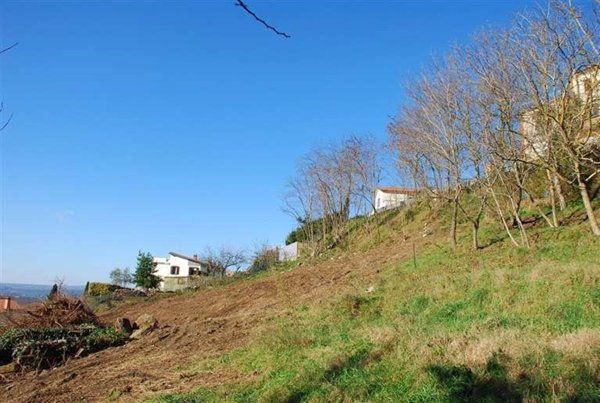 terreno agricolo in vendita a Montefiascone