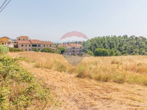terreno agricolo in vendita a Montefiascone