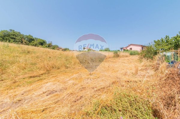 terreno agricolo in vendita a Montefiascone