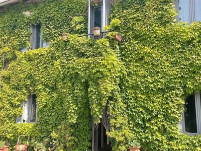 casa indipendente in vendita a Montefiascone in zona Capobianco