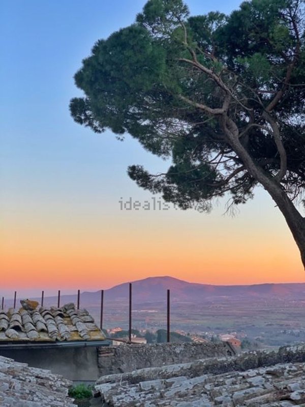appartamento in vendita a Montefiascone