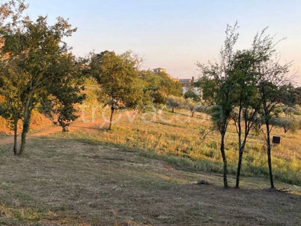 casa indipendente in vendita a Montefiascone in zona Zepponami