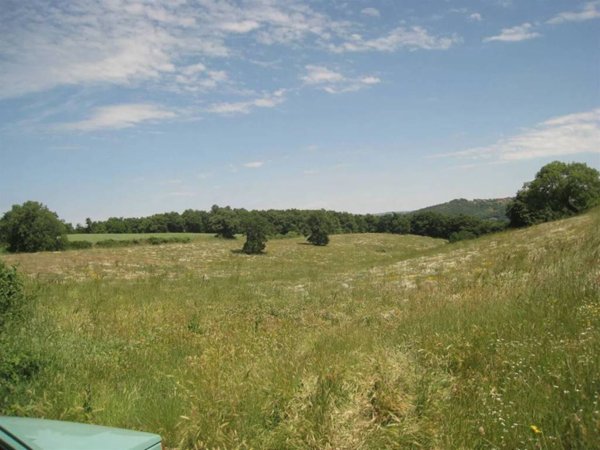 casa indipendente in vendita a Montefiascone