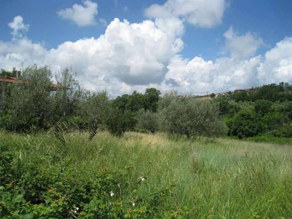 terreno agricolo in vendita a Montefiascone