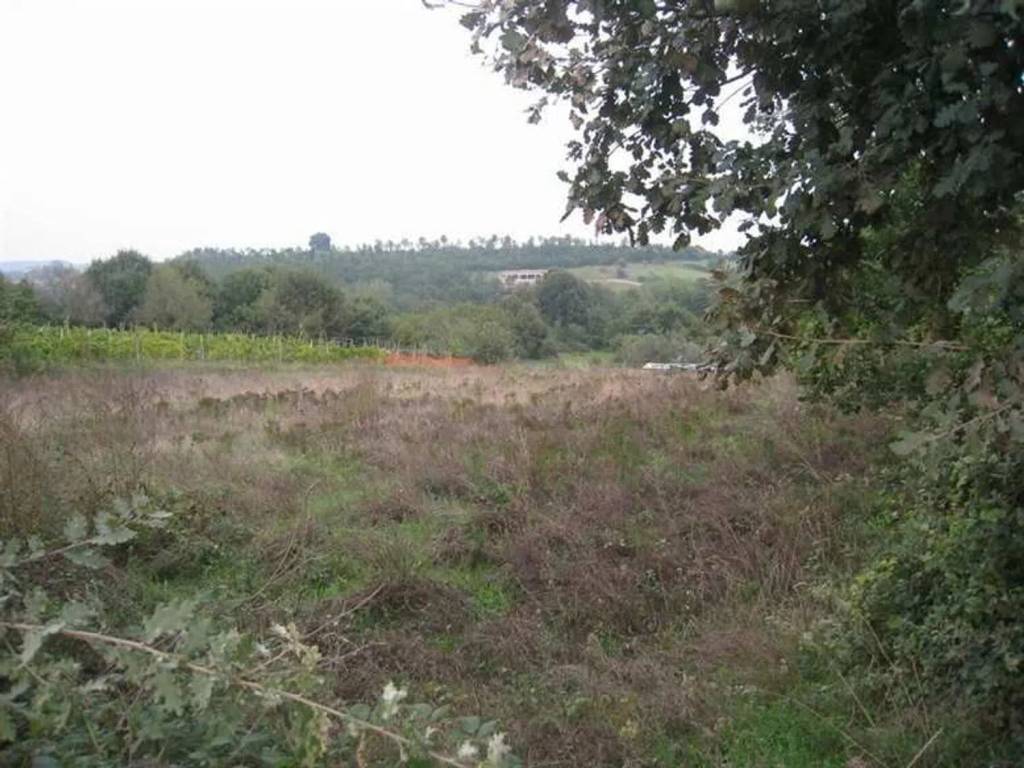 terreno agricolo in vendita a Montefiascone