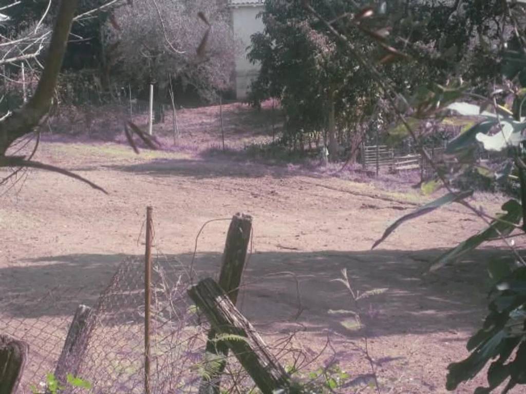 terreno agricolo in vendita a Montefiascone in zona Zepponami