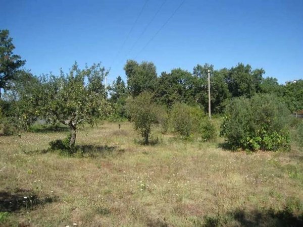 terreno agricolo in vendita a Montefiascone