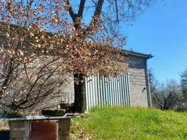 locale commerciale in vendita a Montefiascone