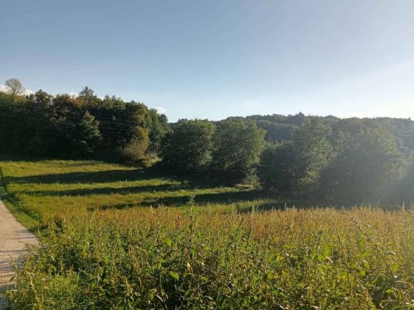 terreno agricolo in vendita a Montefiascone