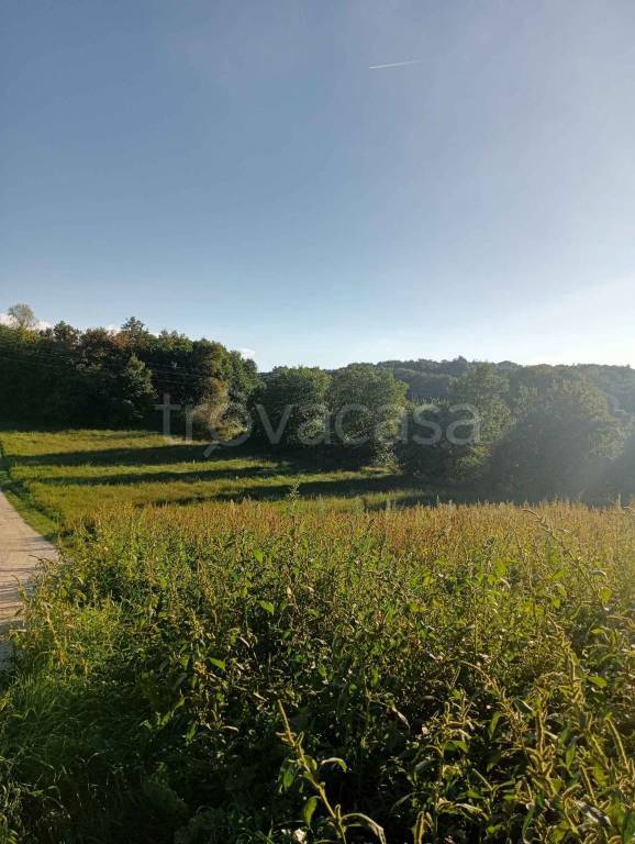 terreno agricolo in vendita a Montefiascone