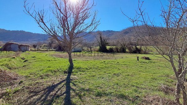 terreno agricolo in vendita a Montefiascone