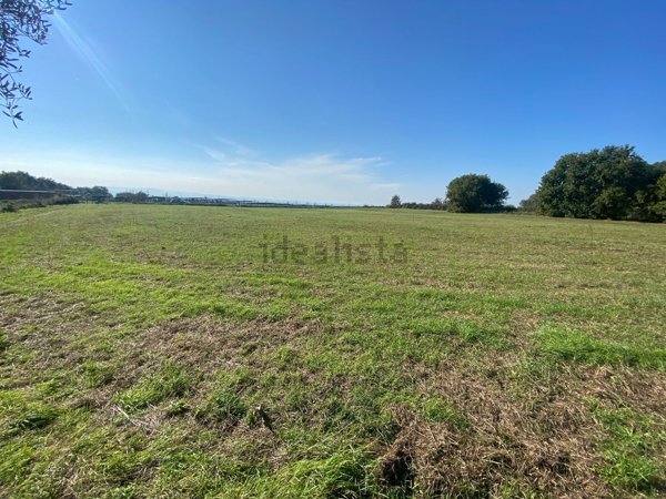 terreno agricolo in vendita a Montefiascone
