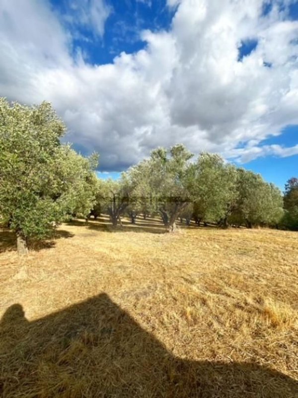 locale di sgombero in vendita a Montefiascone