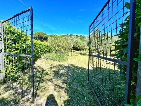 terreno agricolo in vendita a Montefiascone