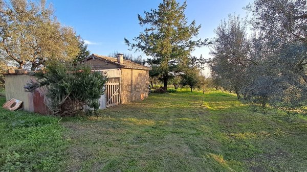 appartamento in vendita a Montefiascone