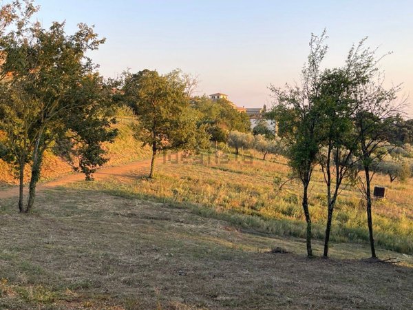 terreno edificabile in vendita a Montefiascone