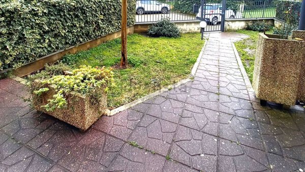 esavano in vendita a Montefiascone