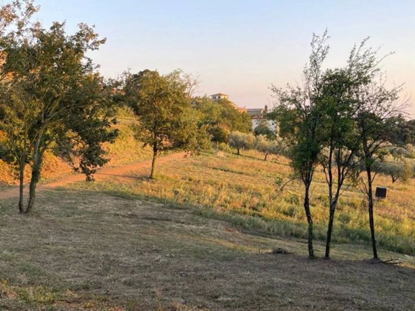 terreno agricolo in vendita a Montefiascone