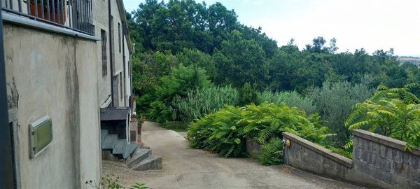 casa indipendente in vendita a Montefiascone in zona Zepponami