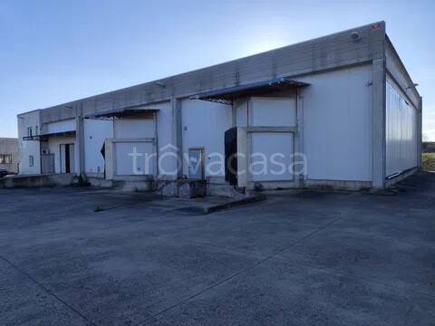 locale commerciale in vendita a Montefiascone