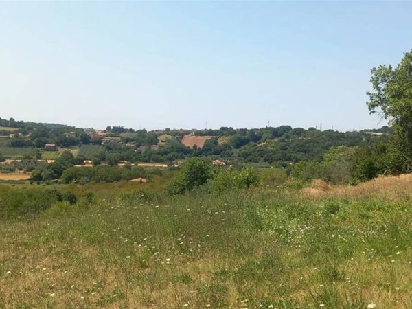 appartamento in vendita a Montefiascone