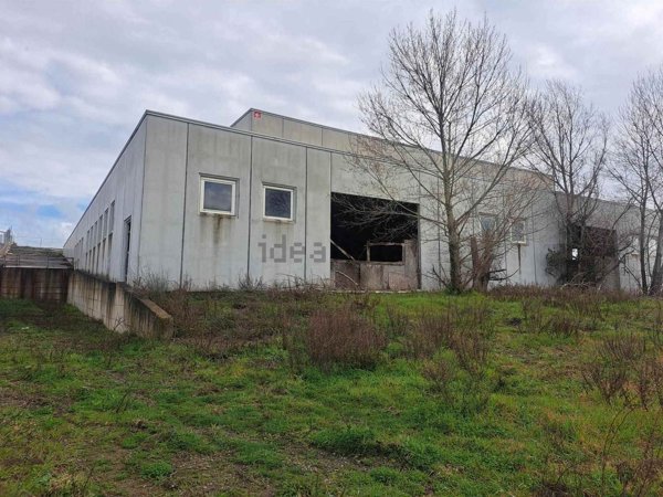 capannone in vendita a Montefiascone