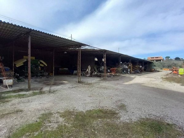 locale commerciale in vendita a Montefiascone in zona Zepponami