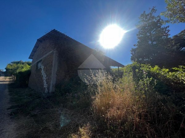 terreno agricolo in vendita a Montefiascone