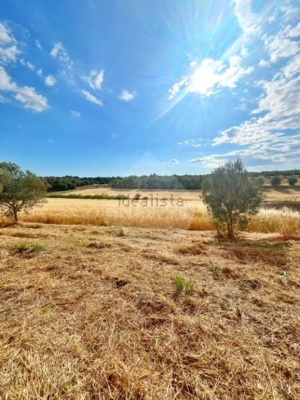 locale di sgombero in vendita a Montefiascone