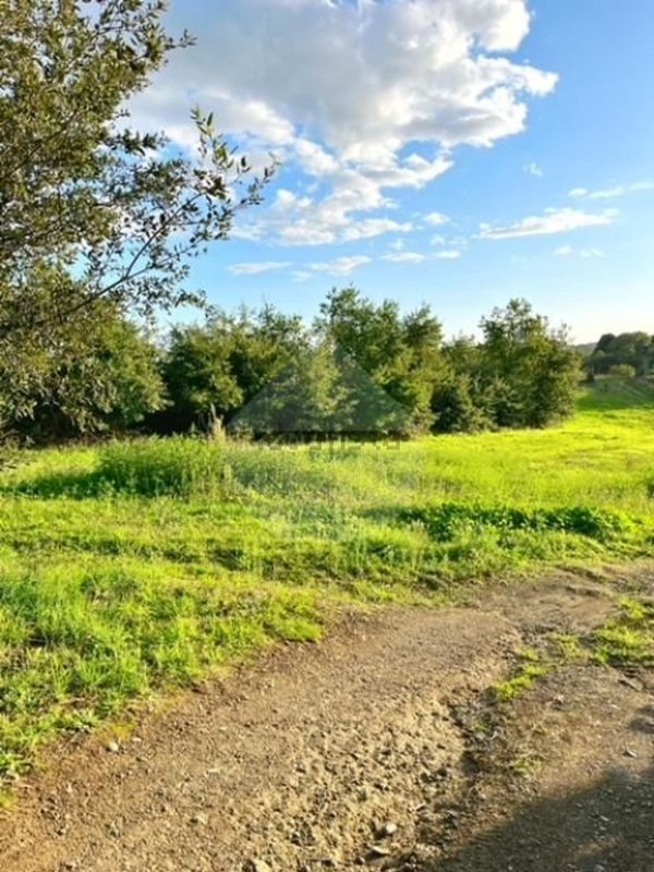 terreno agricolo in vendita a Montefiascone