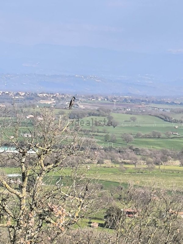 casa indipendente in vendita a Montefiascone